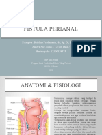 CSS - Fistula Ani