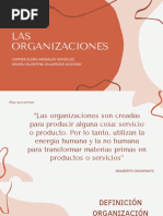 Teoría de La Organización y Estructuras Organizacionales