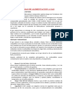 Sistemas de Alimentacion A Gas