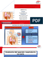 Anatomia y Fisiologia Respiratoria