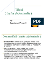 N Demam Tifoid