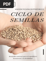 Ciclo de Semilla