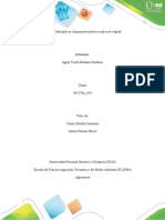 Tarea 4 Componente Practico de Nutricion Vegetal