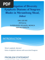 Investigation of Diversity Epiphytic Diatoms of Seagrass Blades in Merambong Shoal, Johor