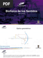 Biofísica de Los Sentidos