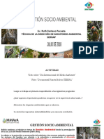 Gestion Socio Ambiental - Ruth Zenteno