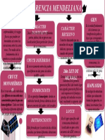 Herencia Mendeliana (Infografia)