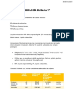 Fisiología Humana Parcial 1.0