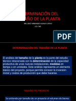 Determinación Del Tamaño de La Planta Iii 2021