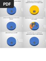 Evidencias PPP