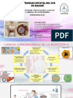 Cadena Epidemiologia Hepatitis A