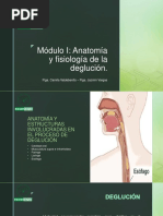 Módulo I Anatomia y Fisiologia