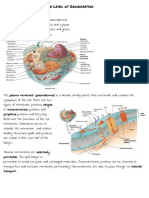 Anatomy and Physiology - The Cellular Level of Organization