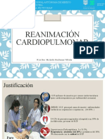 Reanimación Cardiopulmonar Resumida