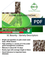 Sugar Bean Production Manual - 0