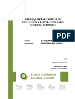 Formato de Informes de Pruebas Metalúrgicas MLU