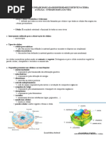 A Célula Como Unidade Básica Da Biodiversidade Existente Na Terra