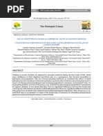 Utilización de Streptomyces Sp. Rl8 Como Agente Probiótico en Pollos de La Raza Leghorn