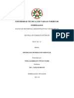 Sistemas de Infomacion Gerencial-Trabajo