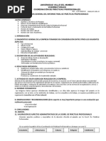 Lineamientos Informe