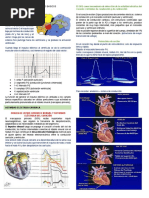 EKG 1 Completo