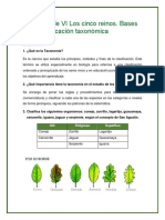 Ejercicios de VI Los Cinco Reinos