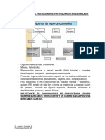 Generalidades de Protozoarios Protozoari