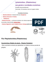 9 9 2018-20-03 Aula de Platelmintos e Verminoses PDF