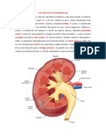 Resumo Fisiologia Renal Ufrrj