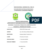 Verificación de La Implementación Del Sistema de Gestión de Seguridad y Salud en El Trabajo en La Empresa Electro