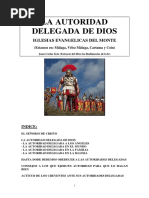 La Autoridad Delegada de Dios. Juan Carlos Soto