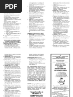 19-Sintesis de La Biblia El Nuevo Testamento Triptico Calspecet