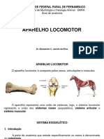 Aparelho Locomotor - Sistema Esquelético