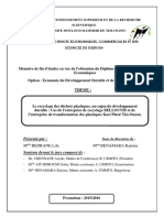 Memoire Final PDF