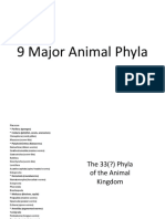 9 Major Animal Phyla Presentation