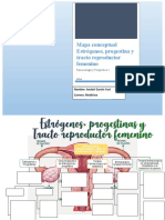 Mapas Reproductor Femenino