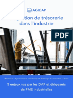 La Gestion de Trésorerie Dans L'industrie