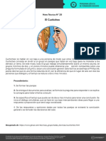 Nota Técnica Nº25 - El Cuchicheo