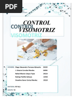 Control Visomotriz 1