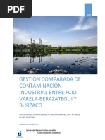 Grupo 2 Gestión Compara de Contaminación Industrial-2021-1c