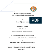 Project Report - CNG Cylinders