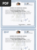 Licencias Octavo B