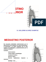 (24p) Mediastino Posterior