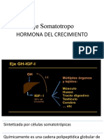 Eje Somatotropo