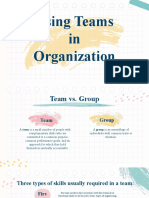 Using Team in Organization