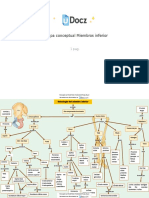 Mapa Conceptual Miembros Inferior 232573 Downloable