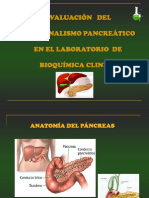 Pancreas