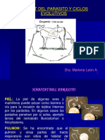 2 Habitat y Ciclos Evolutivos Parasitologia