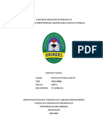 Laporan Praktikum 1 Identifikasi Jamur Pada Tomat