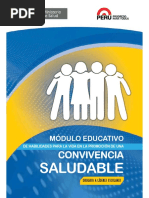 Modulo Convivencia Lideres Escolares